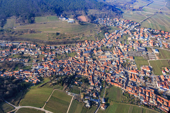 Vue aérienne de Ville viticole au bord du Haardt au sud à le quartier SaintMartin in Sankt Martin dans le département Rhénanie-Palatinat, Allemagne