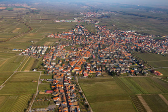 Vue aérienne de Alsterweiler Hauptstr à Maikammer dans le département Rhénanie-Palatinat, Allemagne