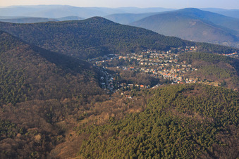 Vue aérienne de Quartier dans la forêt avec Bergsteinstr à le quartier Hambach an der Weinstraße in Neustadt an der Weinstraße dans le département Rhénanie-Palatinat, Allemagne
