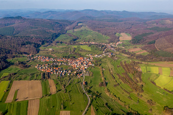 Vue aérienne de Champs agricoles et terres agricoles à Wingen dans le département Bas Rhin, France