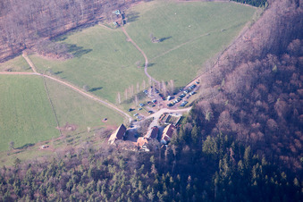 Gimbelhof à Wingen dans le département Bas Rhin, France depuis l'avion