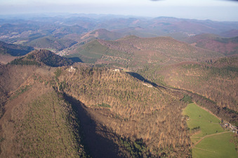 Vue aérienne de Ruines des châteaux de Löwenstein, Hohenburg et Wegelnburg depuis le sud à Wingen dans le département Bas Rhin, France