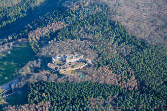Photographie aérienne de Ruines de Fleckenstein à Lembach dans le département Bas Rhin, France
