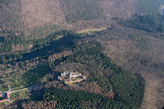 Vue oblique de Ruines de Fleckenstein à Lembach dans le département Bas Rhin, France