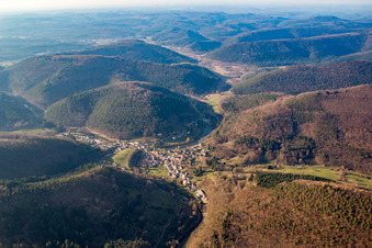 Vue aérienne de Schönau dans le département Rhénanie-Palatinat, Allemagne