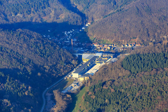 Vue aérienne de Zone industrielle de la Wasgausstraße avec Buchmann GmbH et CHRIPA Paletten GmbH & Co. KG à le quartier Sarnstall in Annweiler am Trifels dans le département Rhénanie-Palatinat, Allemagne