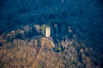 Vue oblique de Ruines du château de Scharfenberg, appelé « Münz » à Leinsweiler dans le département Rhénanie-Palatinat, Allemagne