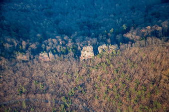 Vue aérienne de Ruines du château de Jungturm à Leinsweiler dans le département Rhénanie-Palatinat, Allemagne
