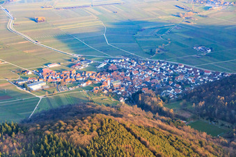 Vue aérienne de Ville viticole en bordure du Haardt vu de l'ouest à Eschbach dans le département Rhénanie-Palatinat, Allemagne