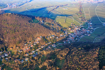 Vue aérienne de Trifelsstr dans le Birnbachtal depuis le sud-ouest dans la lumière du soir à Leinsweiler dans le département Rhénanie-Palatinat, Allemagne