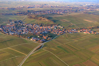 Vue aérienne de Village viticole sous le petit Kalmit du sud-ouest à Ilbesheim bei Landau dans le département Rhénanie-Palatinat, Allemagne