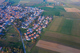 Vue aérienne de Dans le champ de pois à le quartier Mörzheim in Landau in der Pfalz dans le département Rhénanie-Palatinat, Allemagne