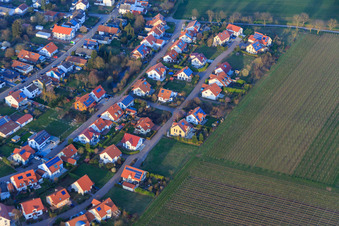 Photographie aérienne de Dans le champ de pois à le quartier Mörzheim in Landau in der Pfalz dans le département Rhénanie-Palatinat, Allemagne