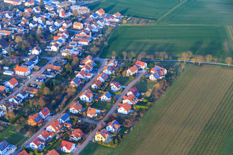 Vue oblique de Dans le champ de pois à le quartier Mörzheim in Landau in der Pfalz dans le département Rhénanie-Palatinat, Allemagne