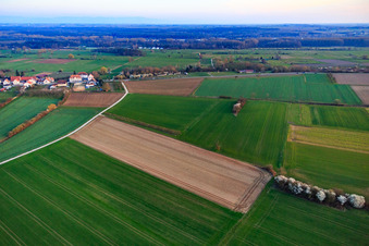Vue aérienne de Vue de la ville depuis le nord à Schweighofen dans le département Rhénanie-Palatinat, Allemagne
