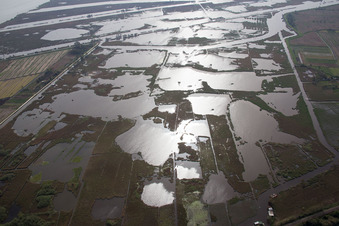 Massarosa dans le département Lucca, Italie depuis l'avion
