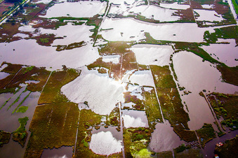 Vue aérienne de Étangs et boue - surface de l'eau dans un paysage d'étang de la lagune d'eau douce à Massarosa dans le département Lucca, Italie