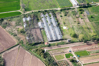 Vue aérienne de Massarosa dans le département Lucca, Italie
