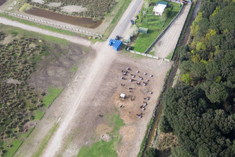 Borgo Manara dans le département Émilie-Romagne, Italie d'en haut