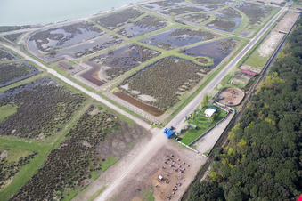 Vue aérienne de Borgo Manara dans le département Émilie-Romagne, Italie