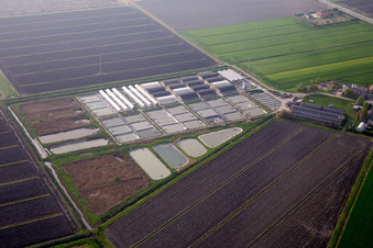 Vue aérienne de Installations d'élevage d'animaux Élevage de porcs pour la production de viande de porc combinées à des étangs de pisciculture en Émilie-Romagne à Codigoro dans le département Ferrara, Italie