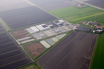 Vue aérienne de Codigoro dans le département Ferrara, Italie