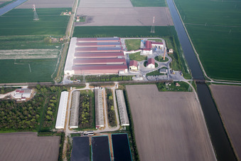 Photographie aérienne de Installations d'élevage d'animaux Élevage de porcs pour la production de viande de porc combinées à des étangs de pisciculture en Émilie-Romagne à Codigoro dans le département Ferrara, Italie
