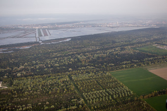 Vue aérienne de Marina di Ravenna dans le département Émilie-Romagne, Italie