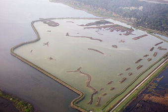 Vue oblique de Casalborsetti dans le département Émilie-Romagne, Italie
