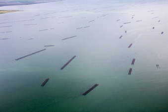 Photographie aérienne de Porto Tolle dans le département Rovigo, Italie