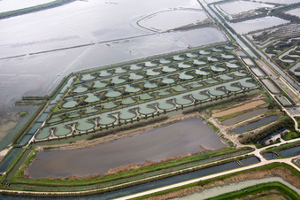 Pila dans le département Vénétie, Italie depuis l'avion