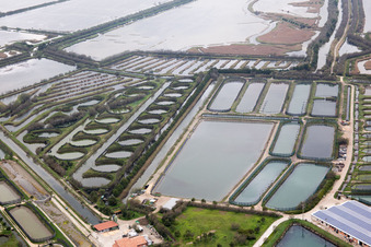 Vue d'oiseau de Pila dans le département Vénétie, Italie