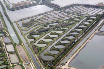 Pila dans le département Vénétie, Italie vue du ciel
