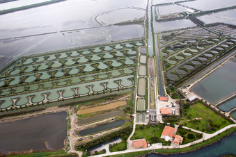 Image drone de Pila dans le département Vénétie, Italie