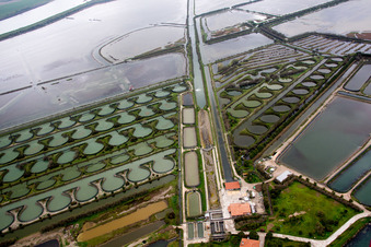 Vue aérienne de Étangs pour la pisciculture dans le delta du Pô à Porto Tolle dans le département Rovigo, Italie