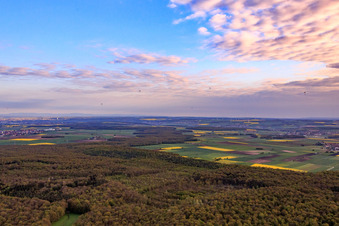 Vue aérienne de Forêt près de Sulzheim à Grettstadt dans le département Bavière, Allemagne