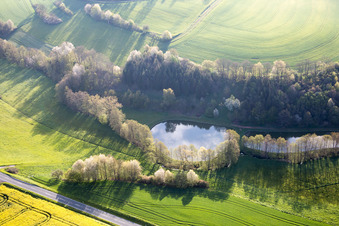 Vue aérienne de Étang à le quartier Prölsdorf in Rauhenebrach dans le département Bavière, Allemagne