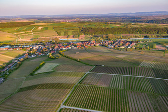 Vue aérienne de Quartier Obereisenheim in Eisenheim dans le département Bavière, Allemagne