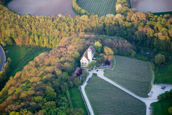 Vue aérienne de Complexe du château de Hallburg, boutique de vins avec vignobles à Volkach dans le département Bavière, Allemagne
