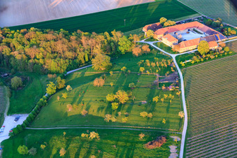 Vue aérienne de Domaine viticole Graf von Schönborn à Volkach dans le département Bavière, Allemagne