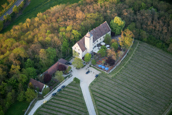 Vue aérienne de Complexe du château de Hallburg, boutique de vins avec vignobles à Volkach dans le département Bavière, Allemagne