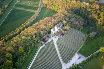 Photographie aérienne de Complexe du château de Hallburg, boutique de vins avec vignobles à Volkach dans le département Bavière, Allemagne