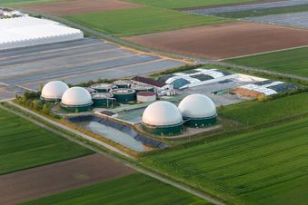 Vue aérienne de Toits en verre dans les rangées de serres pour la culture de fleurs et dômes d'une usine de biogaz par Gartenbau Gernert à le quartier Oberspiesheim in Kolitzheim dans le département Bavière, Allemagne