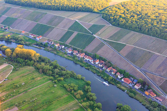 Vue aérienne de Vignoble Escherndorfer Fürstenberg au bord du Main à le quartier Köhler in Volkach dans le département Bavière, Allemagne