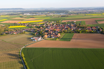 Vue aérienne de Quartier Neuses am Berg in Dettelbach dans le département Bavière, Allemagne