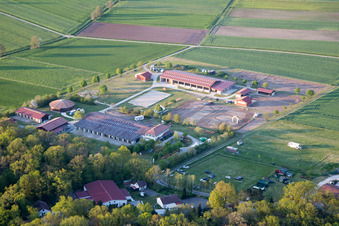Vue aérienne de Ferme en bordure de champs cultivés à Großlangheim dans le département Bavière, Allemagne