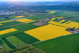 Vue aérienne de Station environnementale de Reichelshof à Sennfeld dans le département Bavière, Allemagne