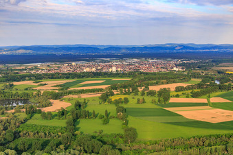 Vue aérienne de Réserve naturelle de Biedensand sur le Lampertheim Althrein à Lampertheim dans le département Hesse, Allemagne