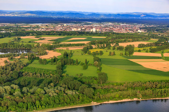 Vue aérienne de Réserve naturelle de Biedensand sur le Lampertheim Althrein à Lampertheim dans le département Hesse, Allemagne