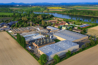 Photographie aérienne de Usine Intersnack Deutschland SE à Petersau sur les rives du Rhin à le quartier Mörsch in Frankenthal dans le département Rhénanie-Palatinat, Allemagne